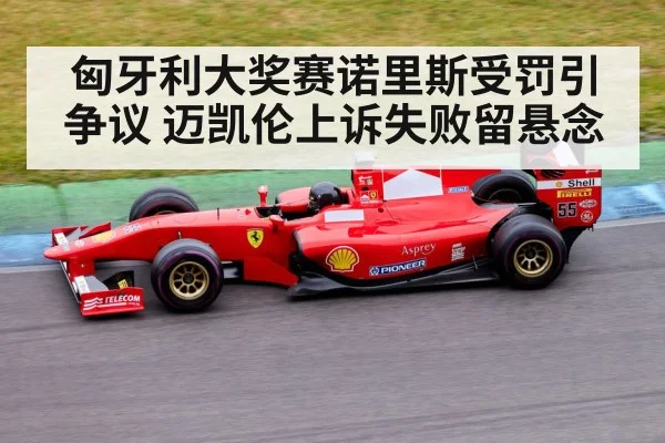 匈牙利大奖赛诺里斯受罚引争议 迈凯伦上诉失败留悬念