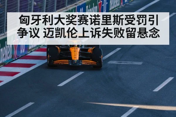 McLaren F1 team