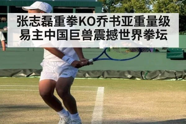 张志磊重拳KO乔书亚重量级易主中国巨兽震撼世界拳坛