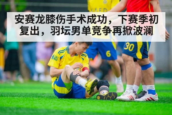 安赛龙膝伤手术成功,下赛季初复出,羽坛男单竞争再掀波澜