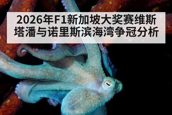 2026年F1新加坡大奖赛维斯塔潘与诺里斯滨海湾争冠分析